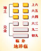 坤兌卦|周易第19卦